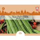 Stangenbohne  Scarlet Empire - Phaseolus coccineus - Samen