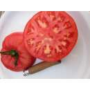 Tomate Aunt Ginnys Purple Tomato - Lycopersicon esculentum - BIOSAMEN