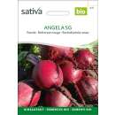 Rande, Rote Bete Angela SG - Beta vulgaris conditiva -...