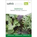 Federkohl, Blattkohl Babykale  - Brassica oleracea var....