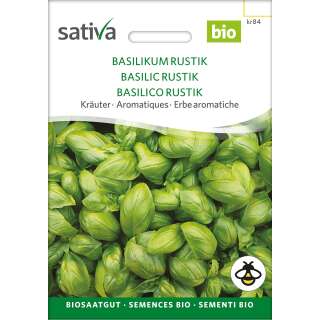 Basilikum Rustik - Ocimum basilicum - BIOSAMEN