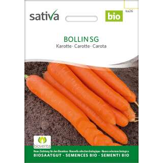 Karotte Bollin SG - Daucus carota - BIOSAMEN