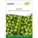 Erbse Buddy - Pisum sativum - BIOSAMEN