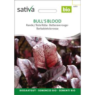 Rande, Rote Bete Bulls Blood - Beta vulgaris conditiva -...
