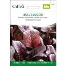 Rande, Rote Bete Bulls Blood - Beta vulgaris conditiva - BIOSAMEN
