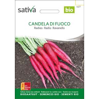 Radies Candela di Fuoco - Raphanus sativus - BIOSAMEN