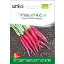 Radies Candela di Fuoco - Raphanus sativus - BIOSAMEN