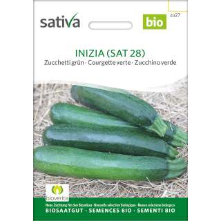 Zucchetti, Zucchini, Inizia (SAT 28) - Cucurbita pepo - BIOSAMEN