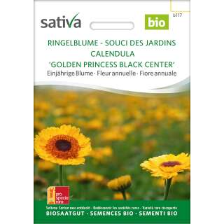 Ringelblume Golden Princess Black Center - Calendula officinalis - BIOSAMEN