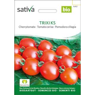 Tomate, Cherrytomate Trixi KS - Solanum lycopersicum - BIOSAMEN