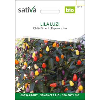Chili Lila Luzi - Capsicum frutescens - BIOSAMEN