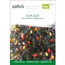 Chili Lila Luzi - Capsicum frutescens - BIOSAMEN