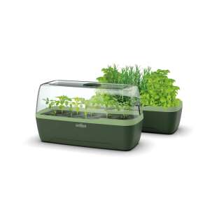 BoQube Mini-serre & jardinière L plus...