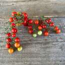 Tomate, Johannisbeertomate Groseille Rouge - Solanum...