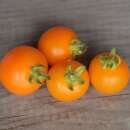 Tomate Orange Bourgoin - Solanum lycopersicum - BIOSAMEN