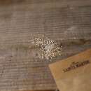 Pflücksalat Cressonnette Marocaine - Lactuca sativa (Cerbiatta catalogne) - BIOSAMEN