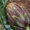 Artischocke, italienische Violetto Provenza - Cynara scolymus L. - Samen