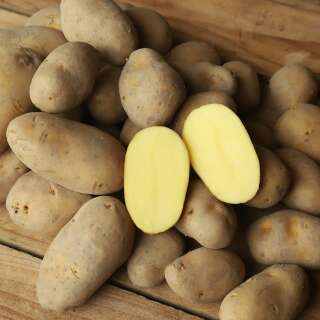Annabelle - Kartoffeln 1 kg BIO