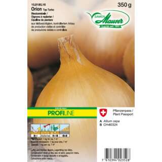 Zwiebel Orion (Typ Turbo) - Allium cepa - Steckzwiebeln 350 g