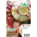 Knoblauch rosa - Allium sativum - Steckzwiebeln 250 g