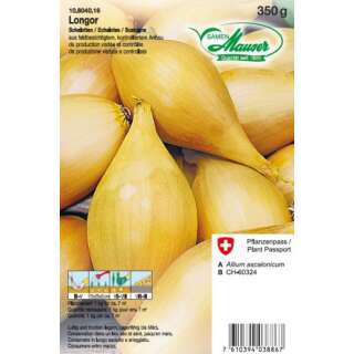 Schalotten Longor - Allium ascalonicum - Steckzwiebeln 350 g