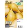 Schalotten Longor - Allium ascalonicum - Steckzwiebeln 350 g