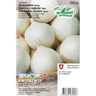 Weisse Steckzwiebel - Allium cepa - Steckzwiebeln 250 g