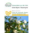 Echte Myrte - Brautmyrte - Myrtus communis - Samen