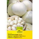 Winter-Steckzwiebel Weisse - Allium cepa - Steckzwiebeln...