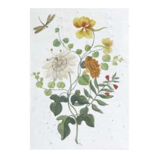 Samenkarte - Blumen aus dem Rijksmuseum #3