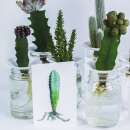 Kaktus Grusskarte mit Umschlag - Pilosocereus