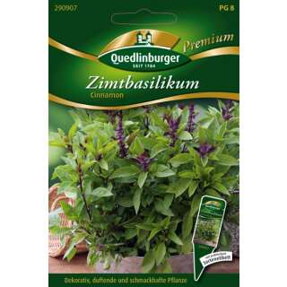 Basilikum, Zimtbasilikum - Ocimum basilicum