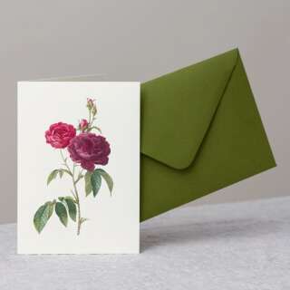 Lila-Rosen Grusskarte mit Umschlag