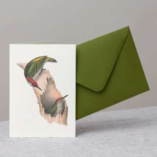 Grün-Specht Grusskarte mit Umschlag