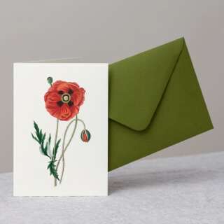 Mohnblume Grusskarte mit Umschlag
