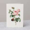 Schmetterling auf Rose Grusskarte mit Umschlag