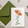 Orange Lilien Grusskarte mit Umschlag