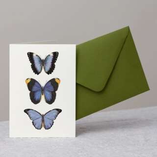 Blaue Schmetterlinge Grusskarte mit Umschlag