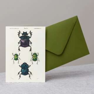 Skarabäus-Käfer Grusskarte mit Umschlag