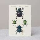 Skarabäus-Käfer Grusskarte mit Umschlag