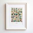Obst Kunstdruck - 21 x 30 cm