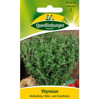 Thymian - Thymus vulgaris - Samen
