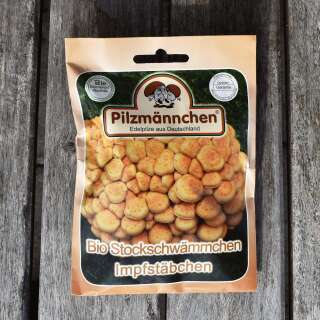 Bio Stockschwämmchen Impfstäbchen -...