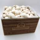 Bio Champignon Pilzzuchtset - Agaricus bisporus 5 kg