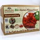 Bio Rosenseitling Home-Pilzzuchtset - Pleurotus djamor 2 kg