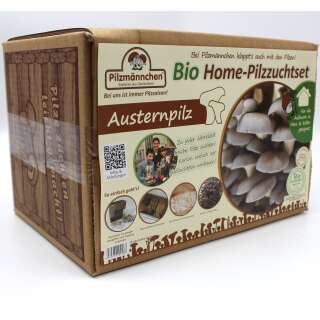 Bio Austernpilz Home-Pilzzuchtset - Pleurotus ostreatus 2 kg