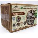 Bio Austernpilz Home-Pilzzuchtset - Pleurotus ostreatus 2 kg