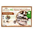 Bio Austernpilz Home-Pilzzuchtset - Pleurotus ostreatus 2 kg