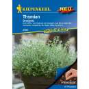 Thymian Orangelo - Thymus fragrantissimus - Pillensaat