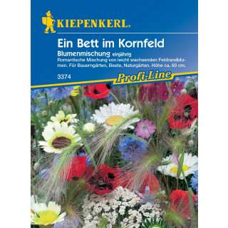 Blumenmischung Ein Bett im Kornfeld - Diverse species - Samen